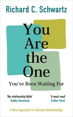 Richard Schwartz - You Are the One You’ve Been Waiting For, Häftad