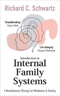 bokomslag Introduction to Internal Family Systems