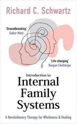 bokomslag Introduction to Internal Family Systems