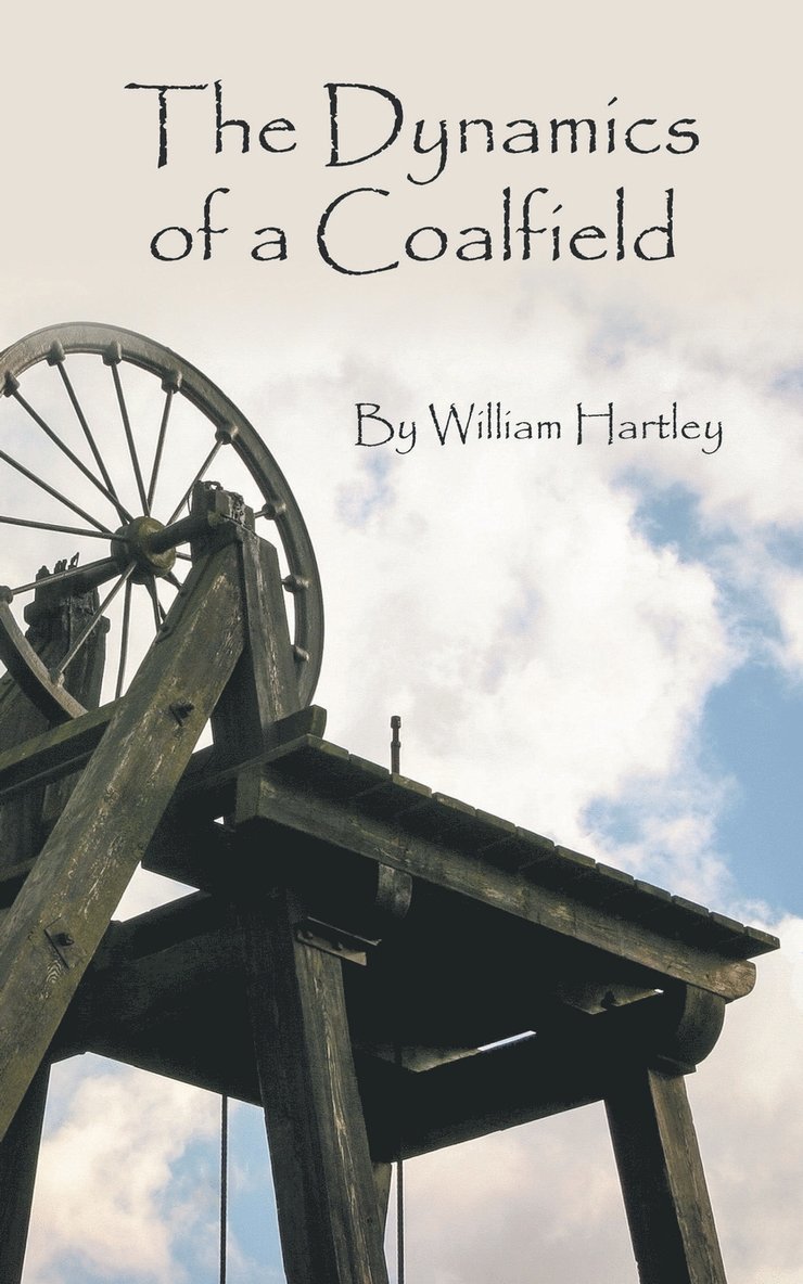 Dynamics of a Coalfield