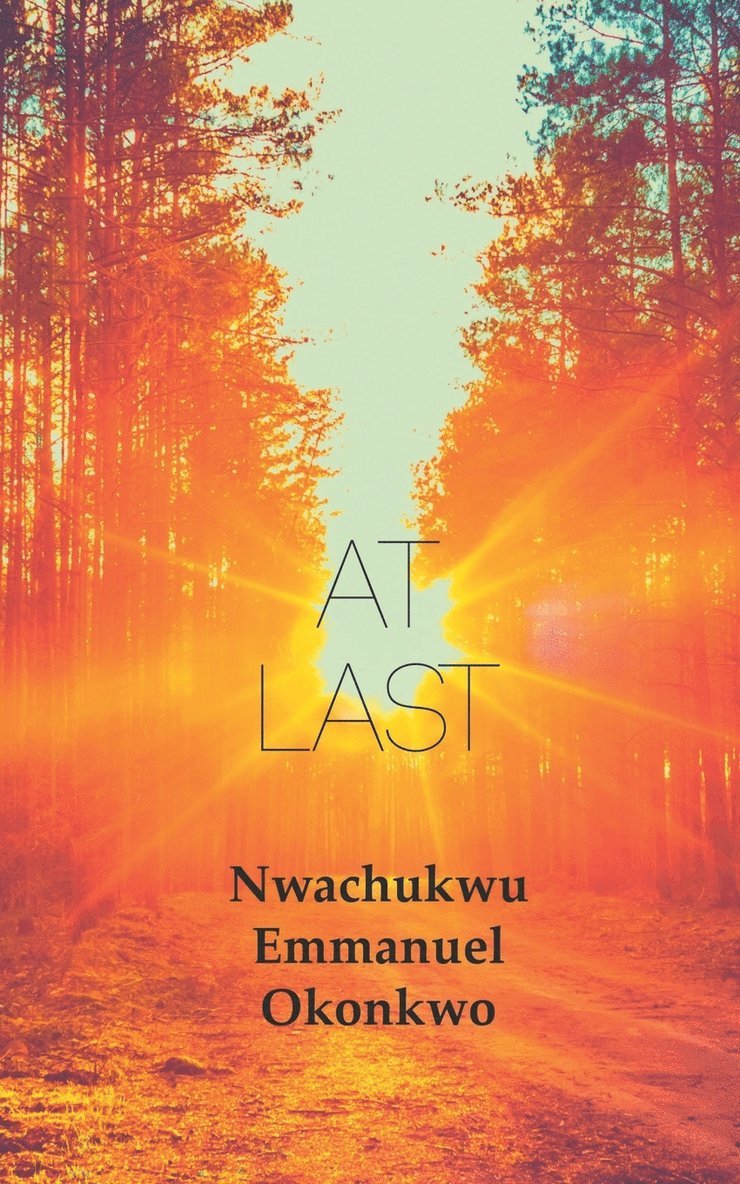 Nwachukwu Emmanuel Okonkwo - At Last, Häftad