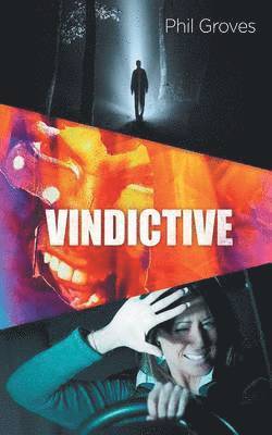 Phil Groves - Vindictive, Häftad