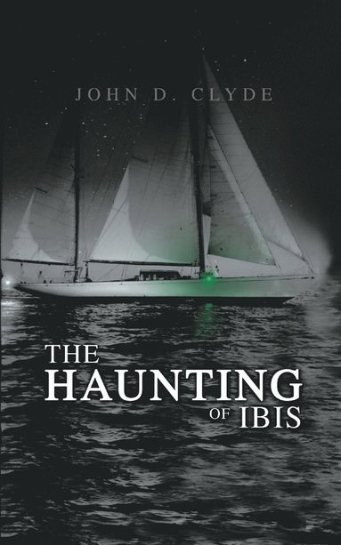 bokomslag Haunting of Ibis
