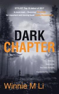 bokomslag Dark Chapter