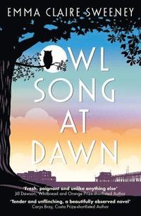 bokomslag Owl Song at Dawn