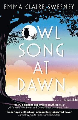 bokomslag Owl Song at Dawn