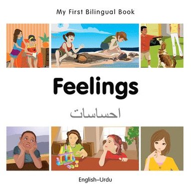 bokomslag My First Bilingual Book -  Feelings (English-Urdu)