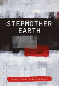 bokomslag Stepmother Earth