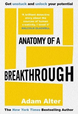 bokomslag Anatomy of a Breakthrough