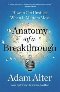 bokomslag Anatomy of a Breakthrough