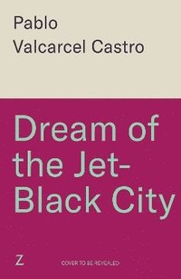 bokomslag Dream of the Jet-Black City