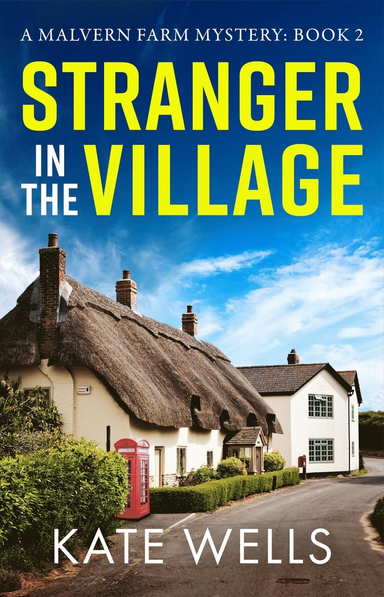 Stranger in the Village