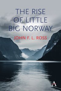 bokomslag Rise of Little Big Norway