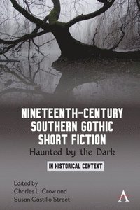 bokomslag Nineteenth-Century Southern Gothic Short Fiction