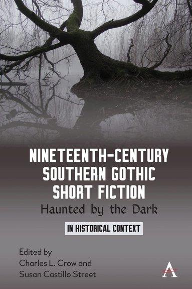 Charles L. Crow, Susan Castillo Street - Nineteenth-Century Southern Gothic Short Fiction, Inbunden