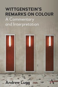 bokomslag Wittgenstein's Remarks on Colour