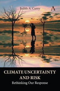 bokomslag Climate Uncertainty and Risk