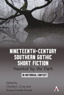 Nineteenth-Century Southern Gothic Short Fiction 1