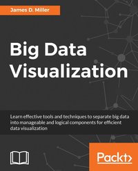 bokomslag Big Data Visualization