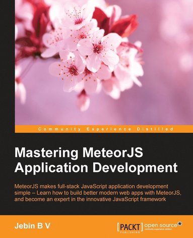 bokomslag Mastering MeteorJS Application Development