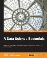 bokomslag R Data Science Essentials