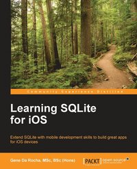 bokomslag Learning SQLite for iOS