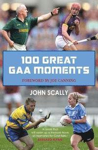 bokomslag 100 Great GAA Moments