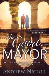 bokomslag Good Mayor