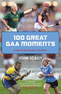 John Scally - 100 Great GAA Moments, Häftad