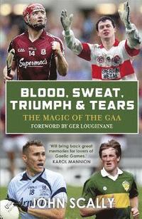 bokomslag Blood, Sweat, Triumph & Tears