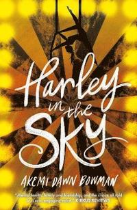 bokomslag Harley in the Sky