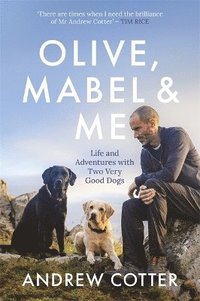 bokomslag Olive, Mabel & Me