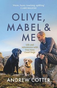 bokomslag Olive, Mabel & Me