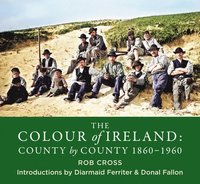 bokomslag The Colour of Ireland