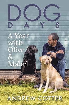 bokomslag Cotter, A: Dog Days