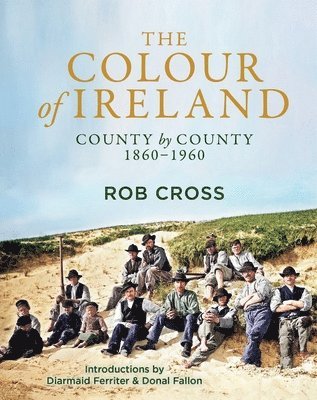 bokomslag The Colour of Ireland