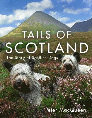 Peter MacQueen - Tails of Scotland, Inbunden