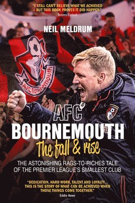bokomslag AFC Bournemouth; the Fall and Rise