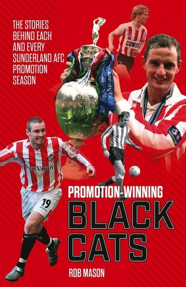 bokomslag Promotion Winning Black Cats