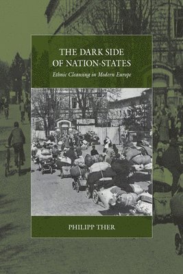 bokomslag Dark Side of Nation-States