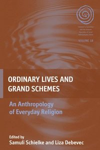 bokomslag Ordinary Lives and Grand Schemes