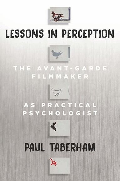 Paul Taberham - Lessons in Perception, Inbunden