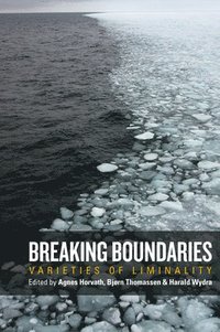 bokomslag Breaking Boundaries