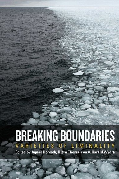 Agnes Horvath, Bjørn Thomassen, Harald Wydra - Breaking Boundaries, Häftad