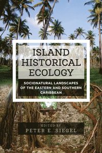 bokomslag Island Historical Ecology