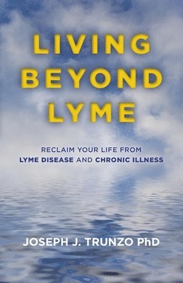 bokomslag Living Beyond Lyme