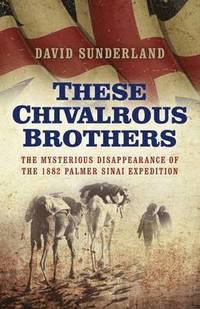 bokomslag These Chivalrous Brothers  The Mysterious Disappearance of the 1882 Palmer Sinai Expedition