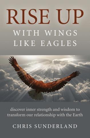 bokomslag Rise Up  with Wings Like Eagles  Discover inner strength and wisdom to transform our relationship with the Earth