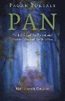 Pagan Portals – Pan – Dark Lord of the Forest and Horned God of the Witches