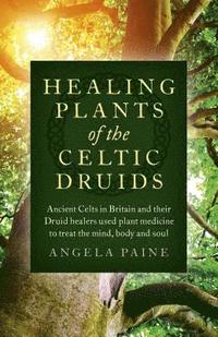 bokomslag Healing Plants of the Celtic Druids